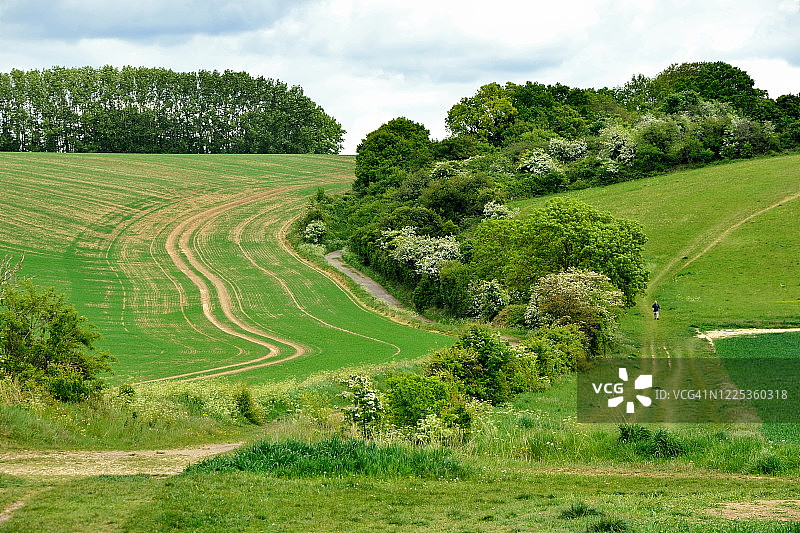 英格兰的农田和乡村小路风光图片素材