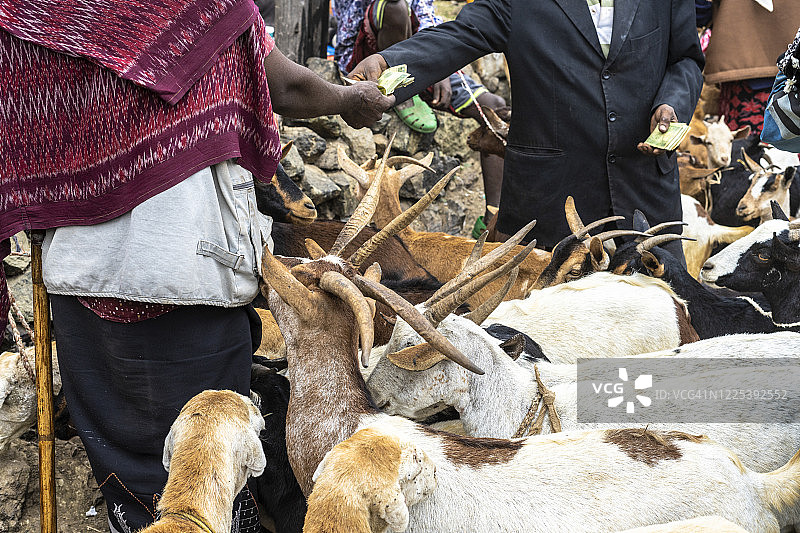 埃塞俄比亚阿姆哈拉地区的牲畜市场图片素材