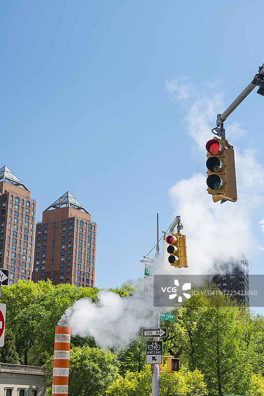2020年5月12日，蒸汽在纽约市东村联合广场公园中生长的新鲜绿树间升腾飘散。图片素材
