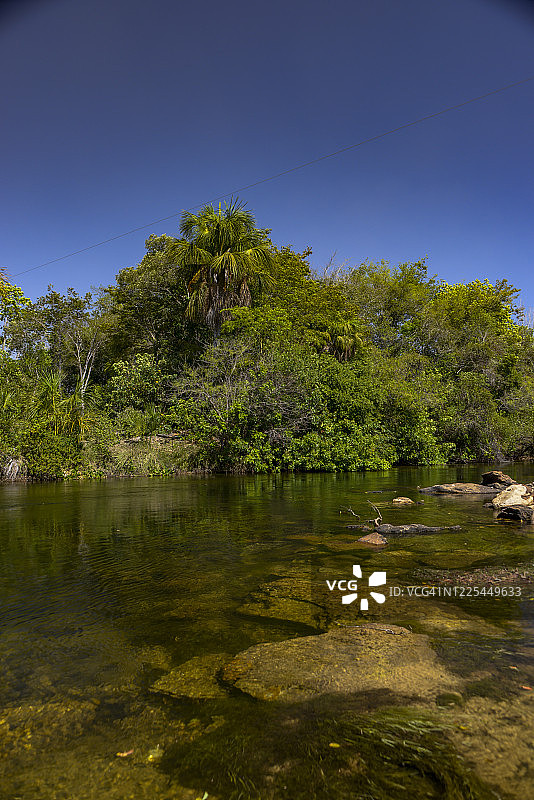 绿树环绕的清澈河流图片素材