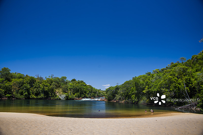 河岸和沙滩上的树木图片素材