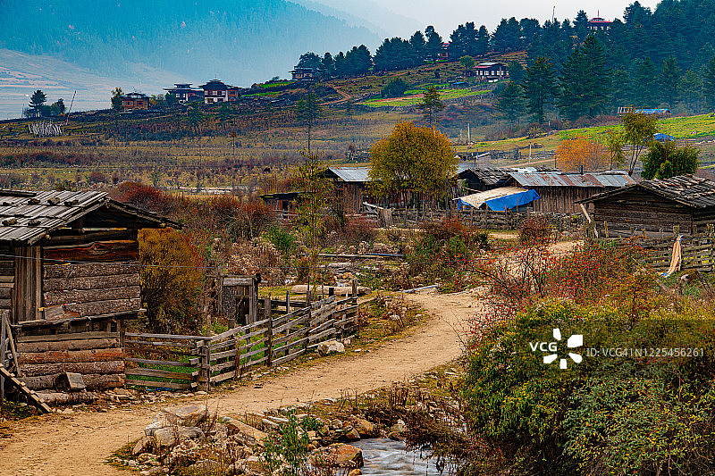 富毕卡山谷（甘塘山谷），旺度波德朗，不丹图片素材