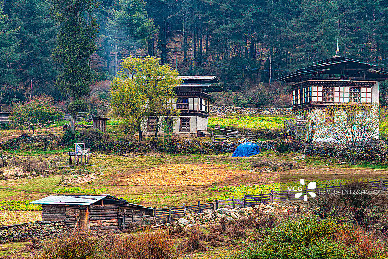 富毕卡山谷（甘塘山谷），旺度波德朗，不丹图片素材