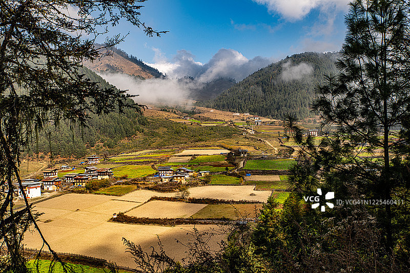 富毕卡山谷（甘塘山谷），旺度波德朗，不丹图片素材