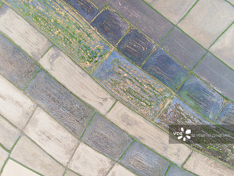 空旷的旱稻田航拍图片素材