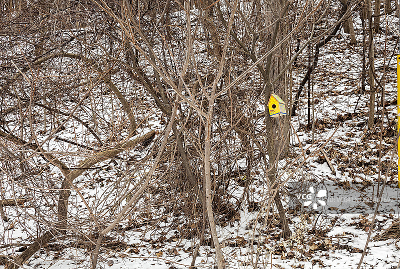 鸟的房子图片素材