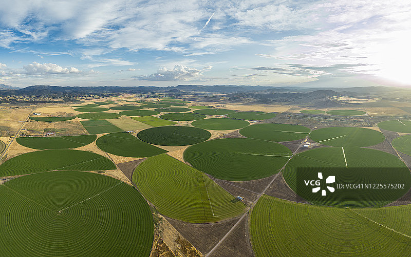 内华达沙漠中的绿色麦田怪圈图片素材