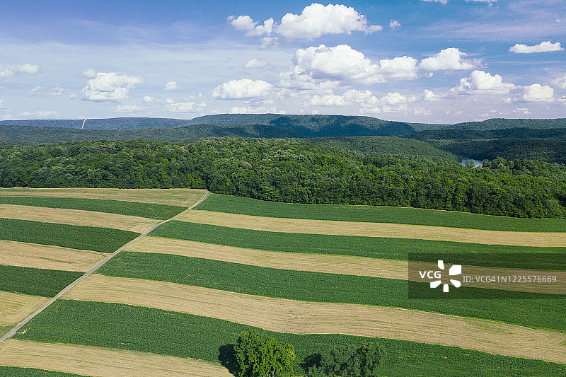 PA农田条纹航拍图片素材
