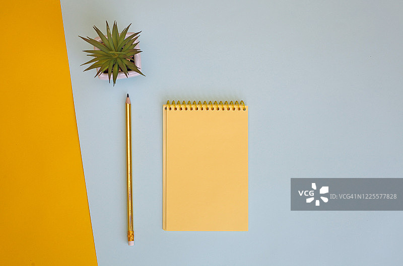 彩色蓝黄色背景上的黄色便笺和金色铅笔，盆栽多肉植物图片素材