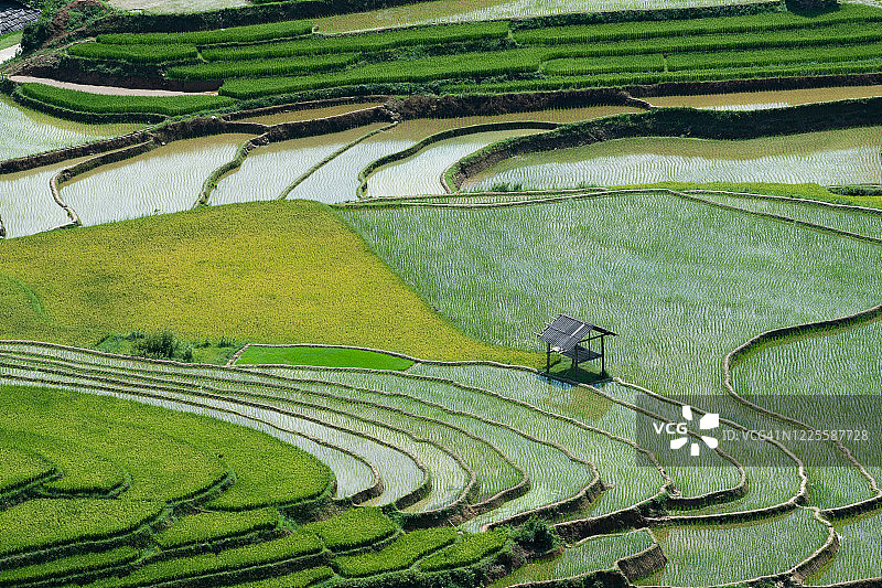 图勒地区的梯田图片素材