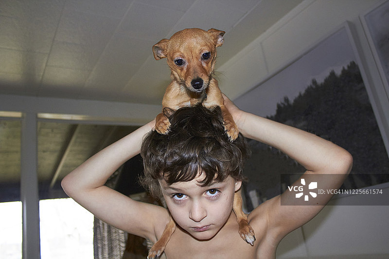 赤膊男孩在室内抱着棕色小狗，看着镜头放松图片素材