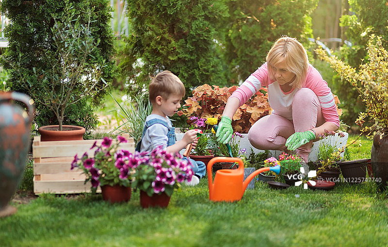 祖母和可爱的孙子种植花卉图片素材