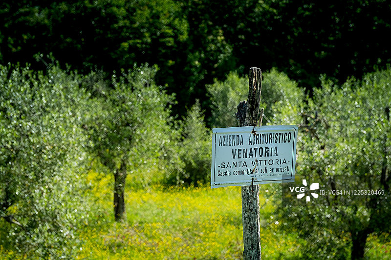 Volterra,比萨-托斯卡纳,意大利图片素材