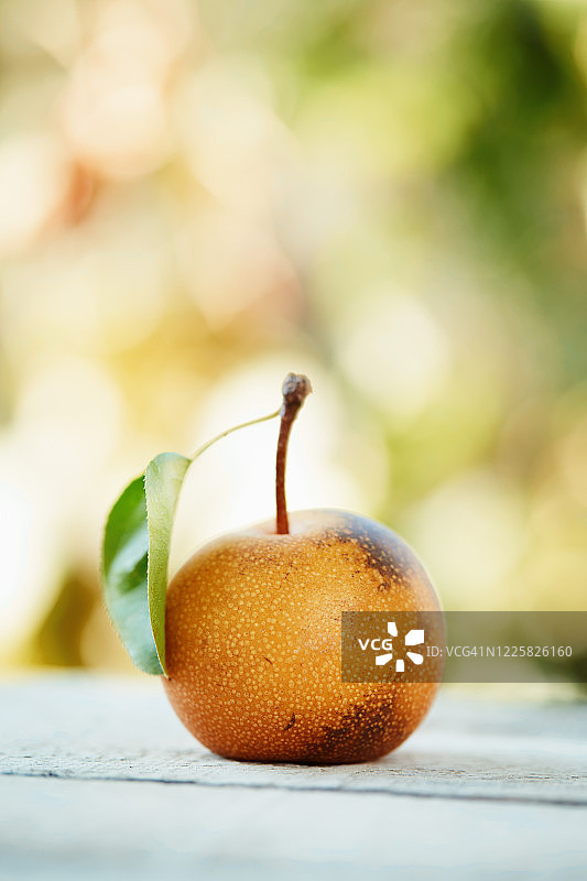 木制乡村桌子上带有散景的亚洲梨图片素材