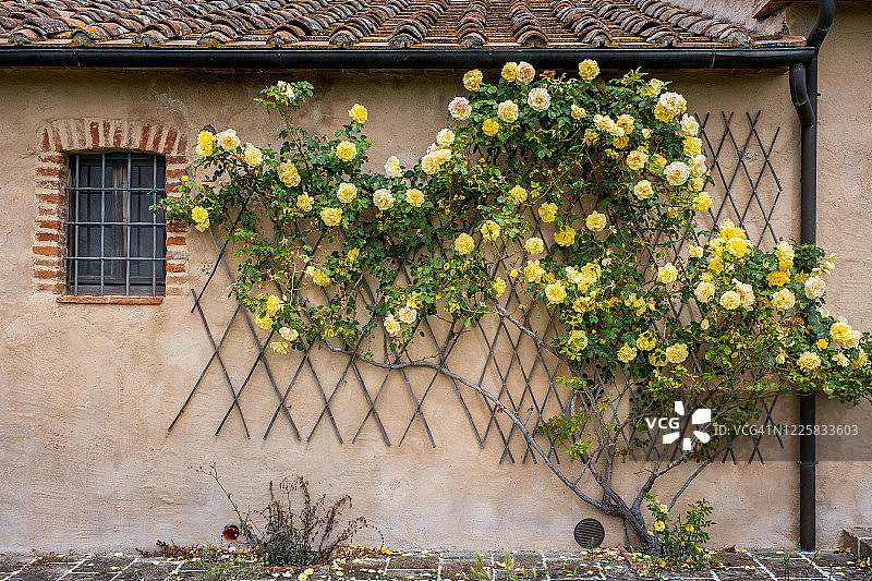切奇纳山谷蒙特卡蒂尼图片素材