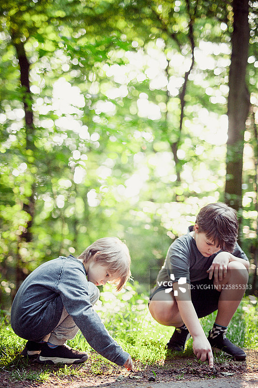 森林里的学生，森林里的兄弟图片素材