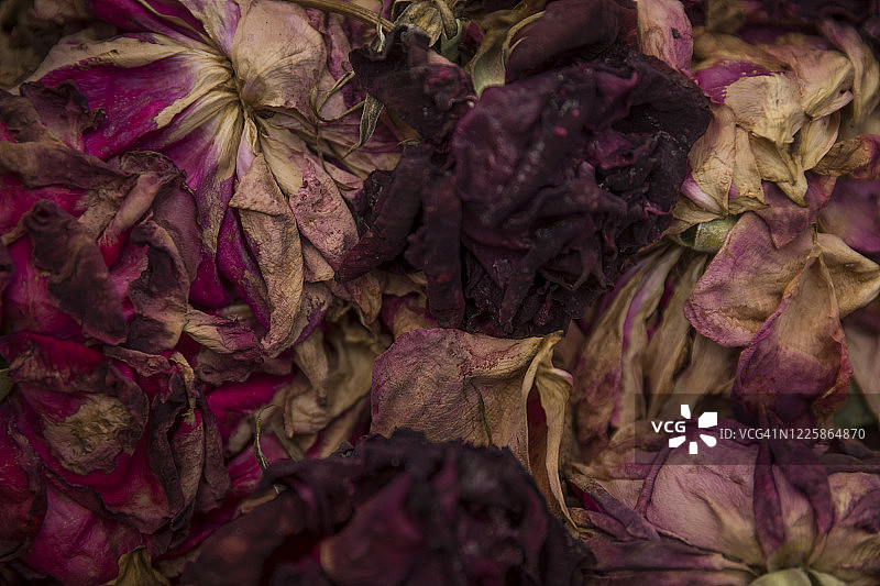 法国蒙塔基市，堆放的分解玫瑰图片素材