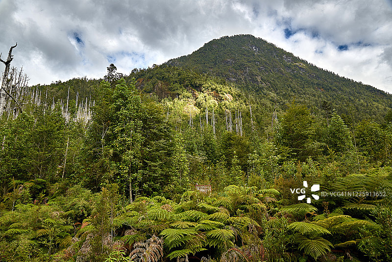 托罗纳多湖区-普马林国家公园图片素材