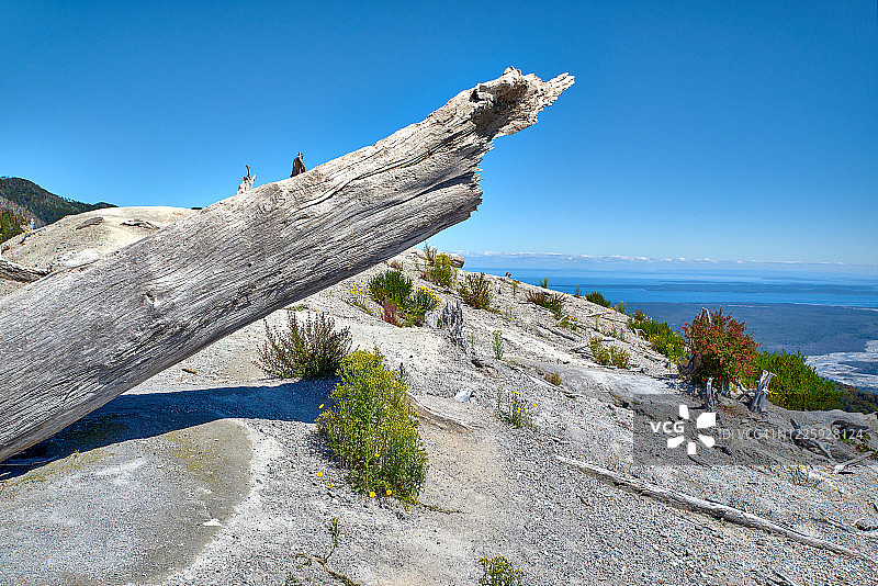 柴滕火山坑边缘-普马林国家公园图片素材