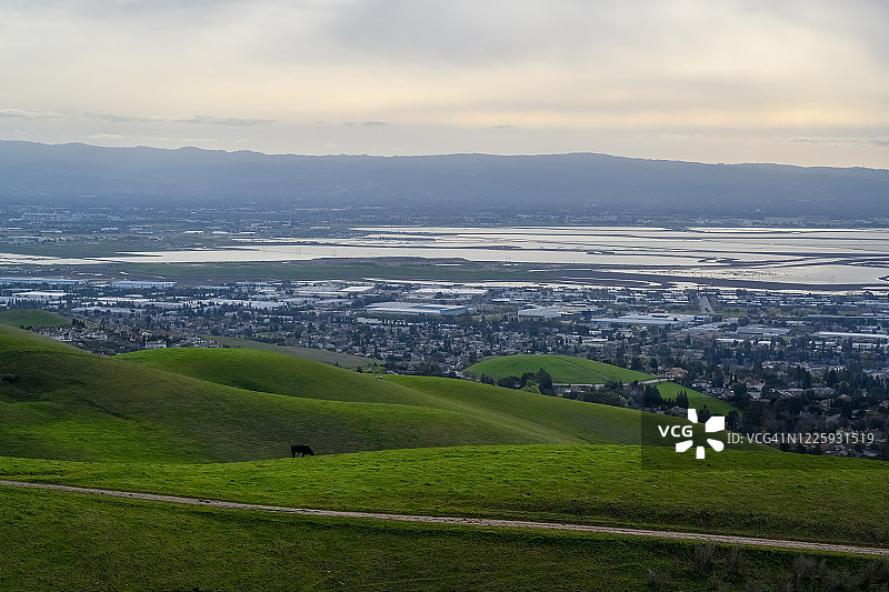郊区附近的绿色草地图片素材