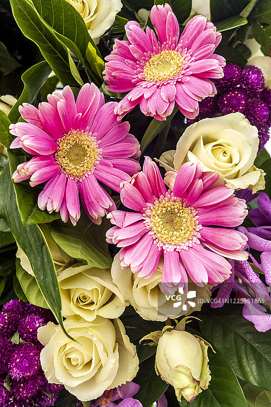 泰国南园岛风光图片素材