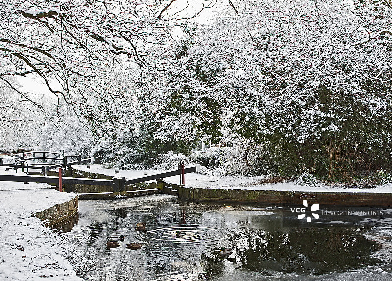 冬季英格兰南部的贝辛斯托克运河图片素材