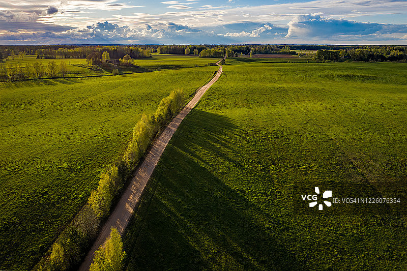日落时分乡村绿色远景和林荫大道的航拍视角图片素材