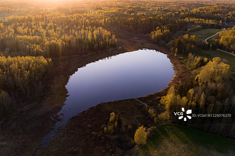 日落时分森林中湖泊的壮观航拍图片素材
