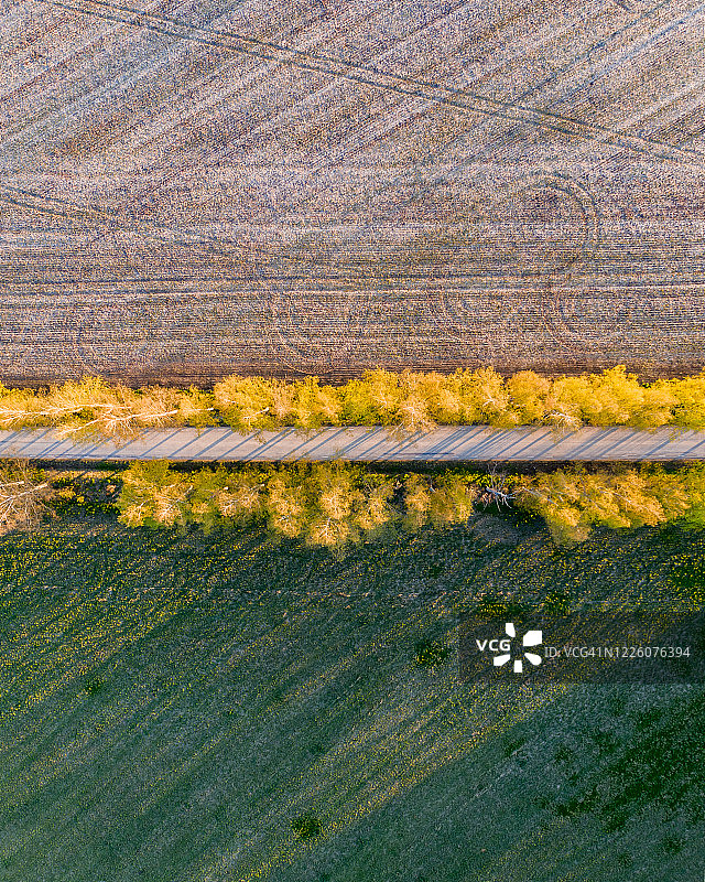 林荫大道和草地的航拍俯视图图片素材