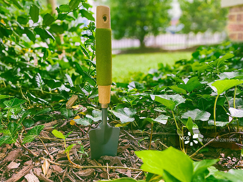 花园床上的泥刀图片素材