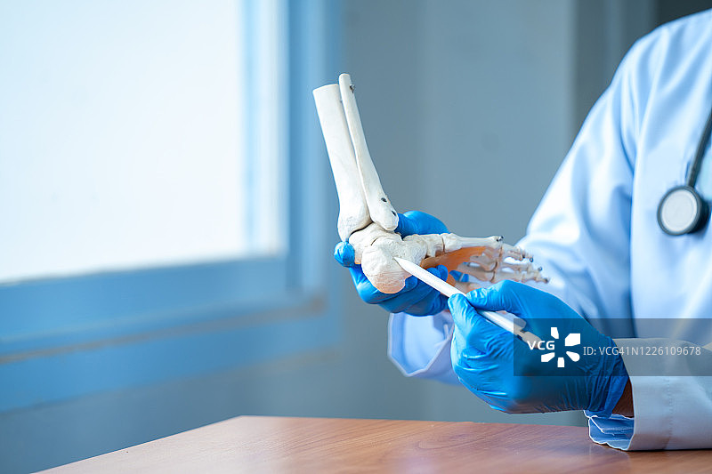医生和足部骨骼模型图片素材
