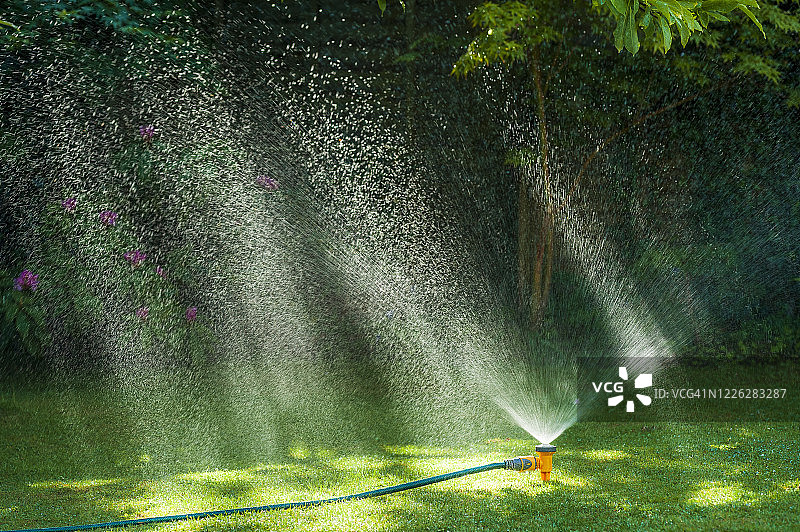 郁郁葱葱的绿色草坪上的花园洒水器图片素材