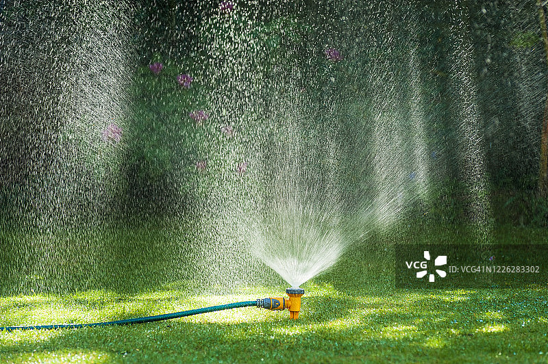 郁郁葱葱的绿色草坪上的花园洒水器图片素材