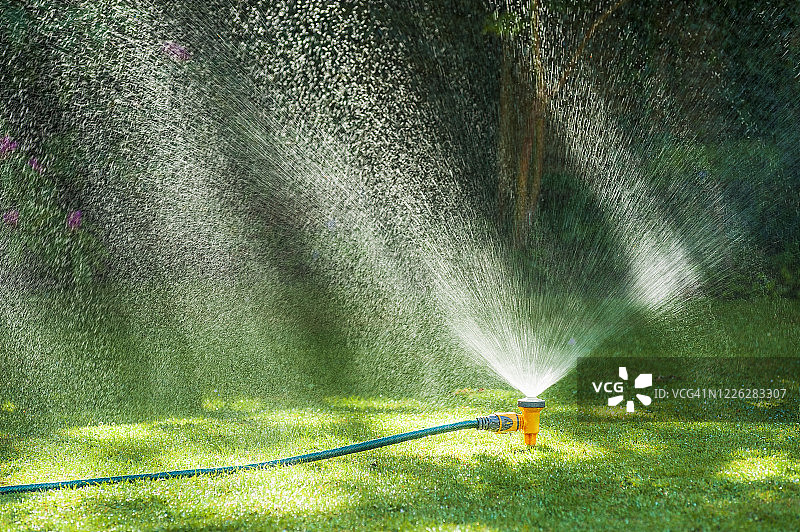 郁郁葱葱的绿色草坪上的花园洒水器图片素材