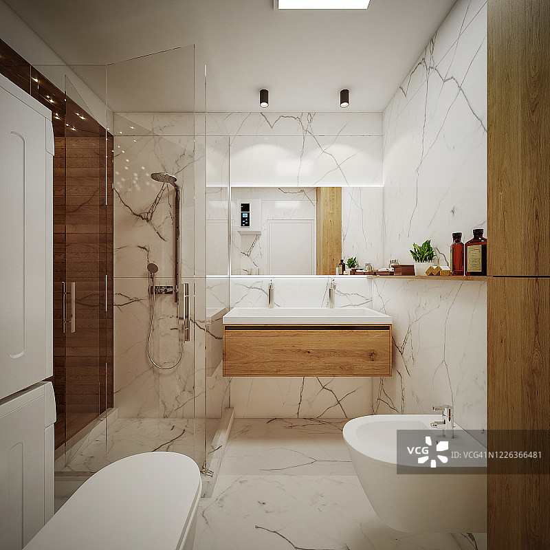 浴室的计算机生成图像：建筑可视化3D渲染图片素材