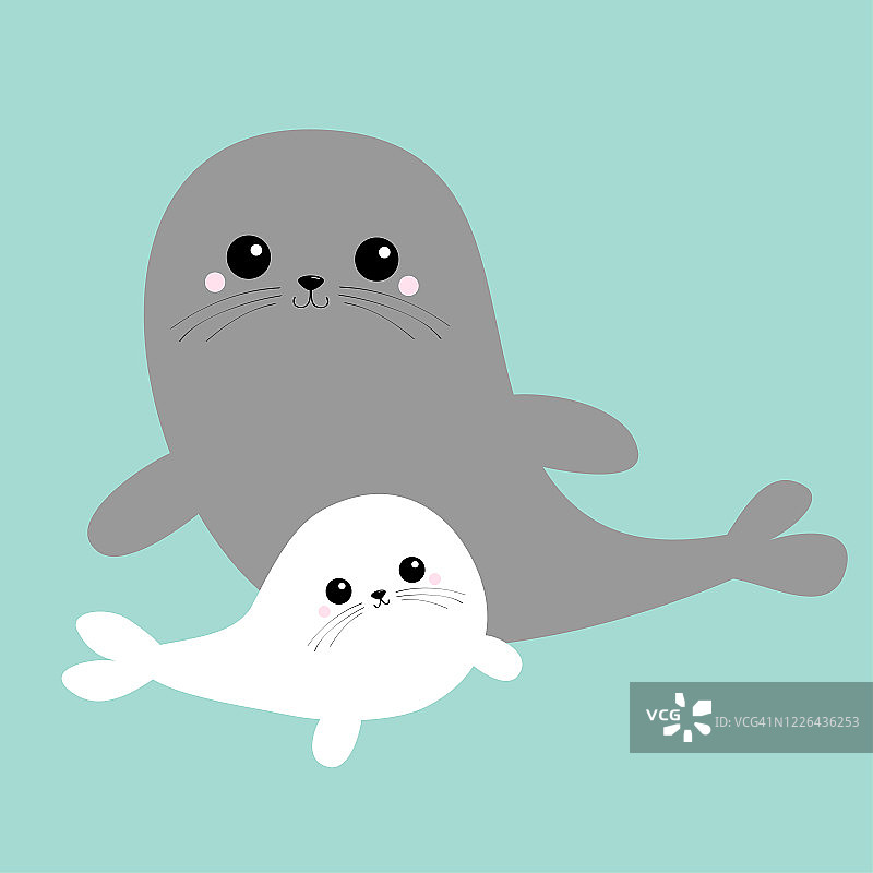 海狮和竖琴海豹幼崽套装卡通河，卡哇伊风格角色，灰色白色，快乐的动物系列，海洋水域，母婴家庭，蓝色背景，孤立的扁平设计图片素材