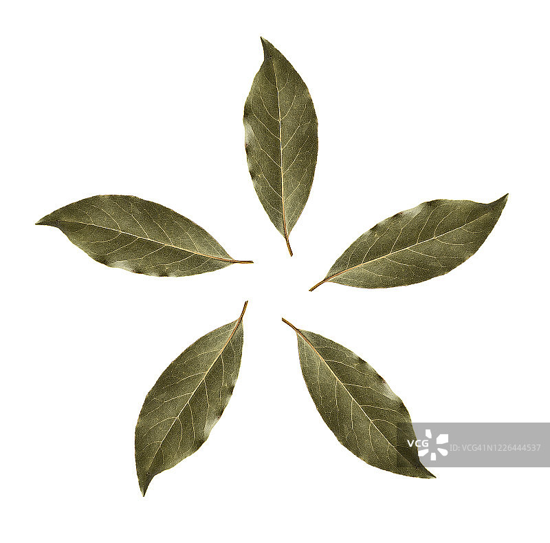 用于烹饪的干月桂叶特写，在白色背景上形成一个圆圈图片素材