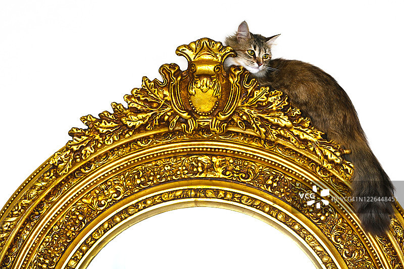 墙上的镜子图片素材