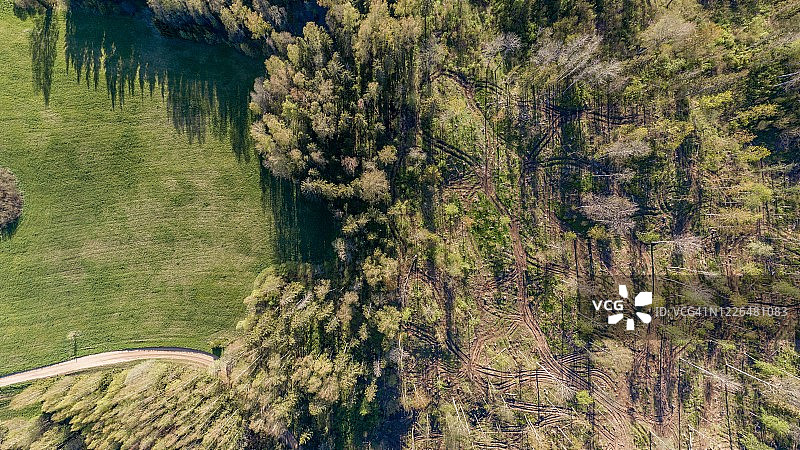 航拍视角：森林砍伐图片素材