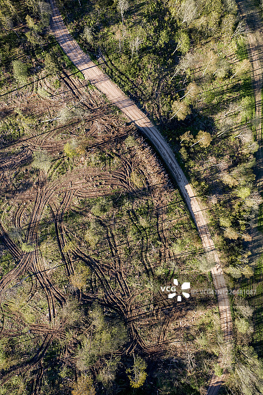 航拍视角：森林砍伐图片素材