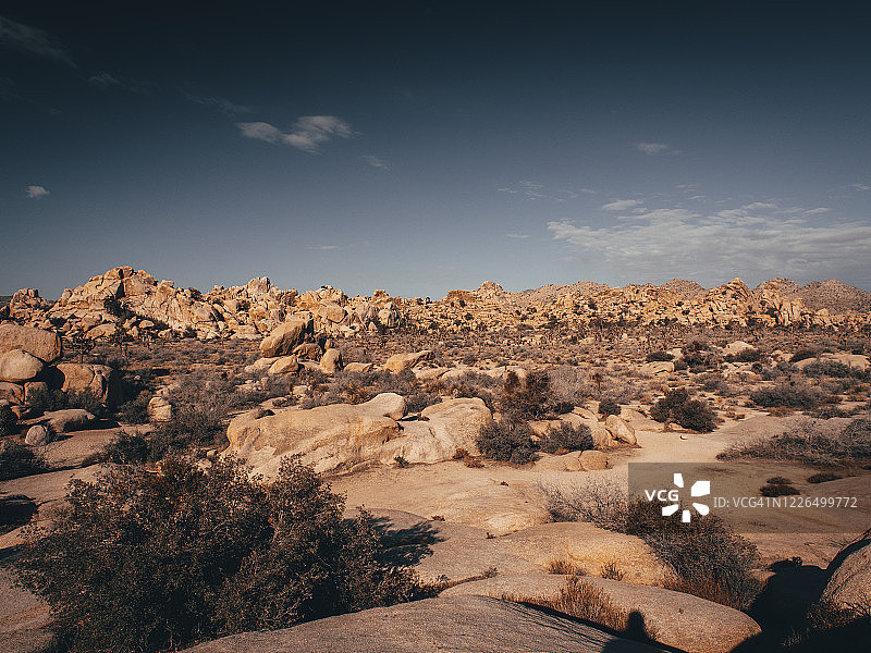 约书亚树国家公园图片素材