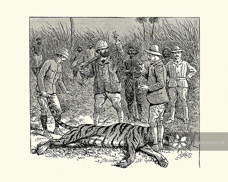 站在老虎尸体上的大型猎物猎人，印度图片素材