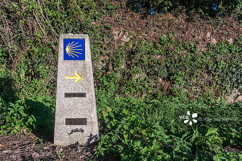 朝圣之路标志：扇贝壳图片素材