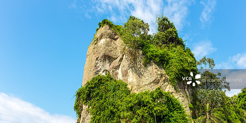 太平洋图马科海滩上的巨石与植物图片素材