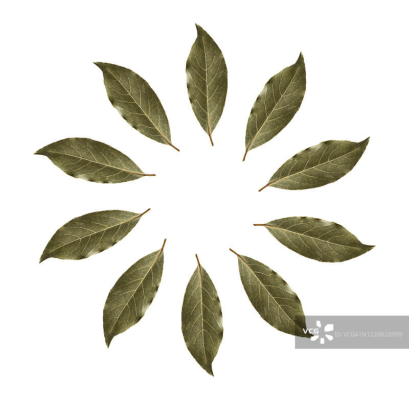 用于烹饪的干月桂叶特写，在白色背景上形成一个圆圈图片素材
