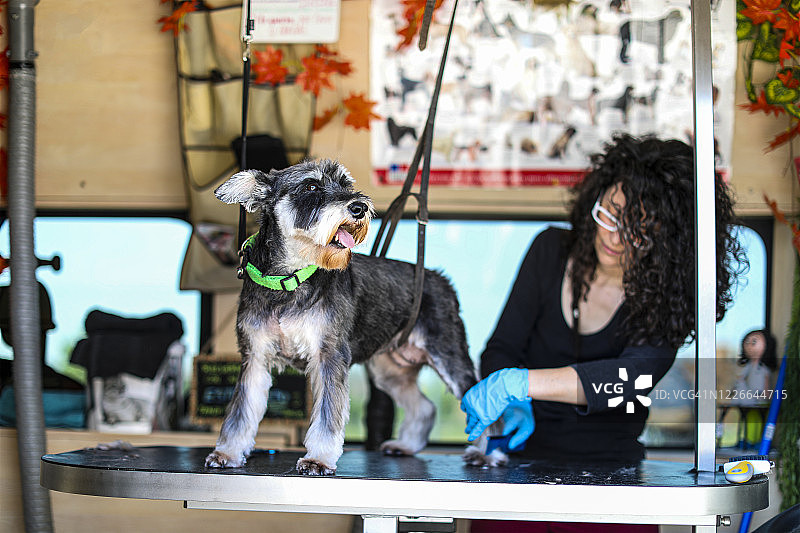 厢式货车宠物美容服务图片素材