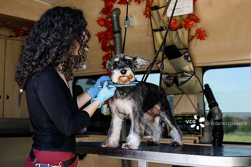 厢式货车宠物美容服务图片素材