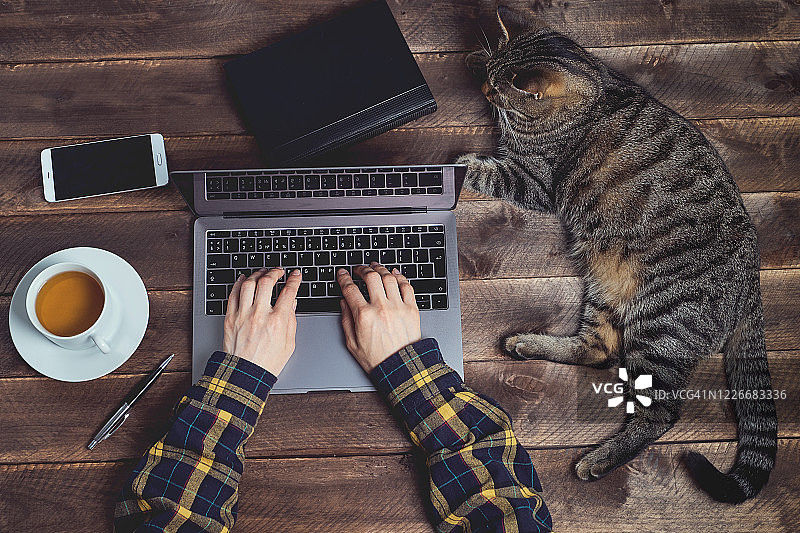 女人在家工作时使用笔记本电脑，旁边有一只猫、一部手机、一杯咖啡或茶和一本记事本图片素材