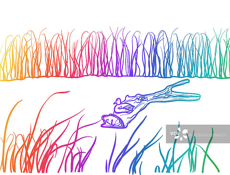 沼泽栖息地生态图片素材