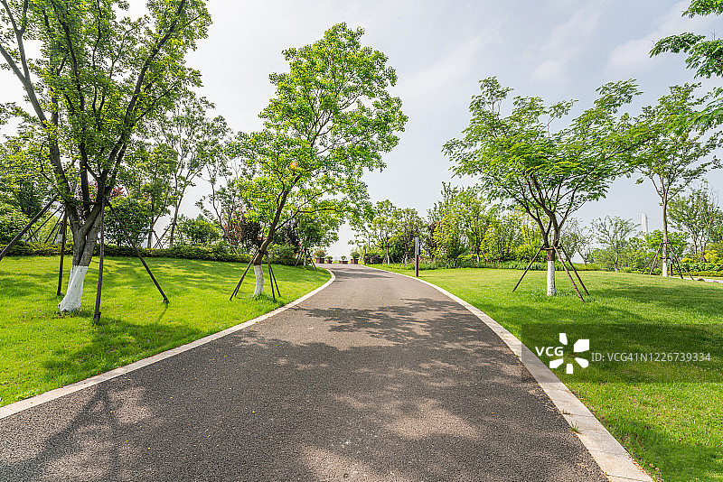 空旷的道路和公园图片素材